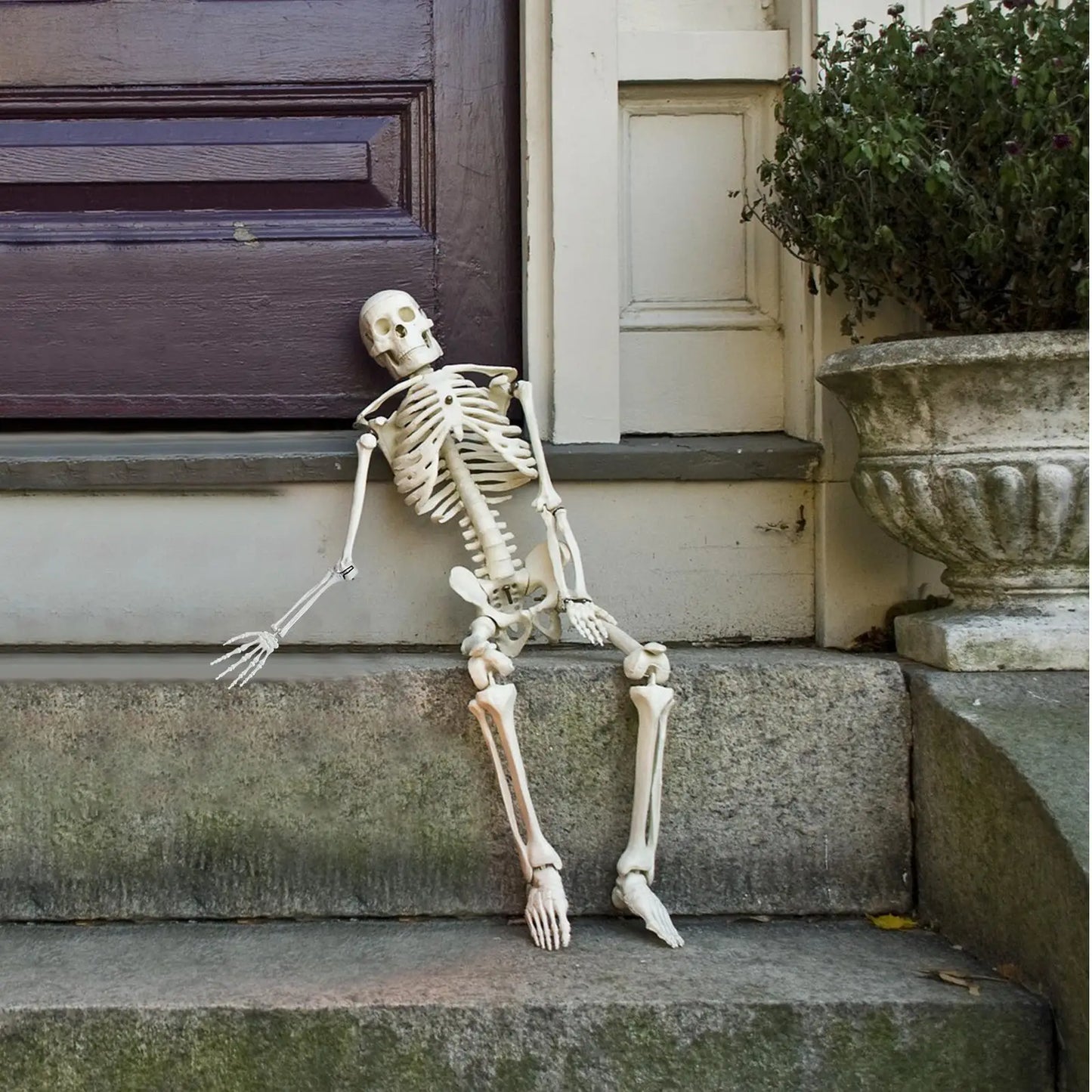 Halloween Skeleton Decoration Plastic Vivid Design Sound Effect 165cm Home Ornament Bone Decor Movable Joints for Photo